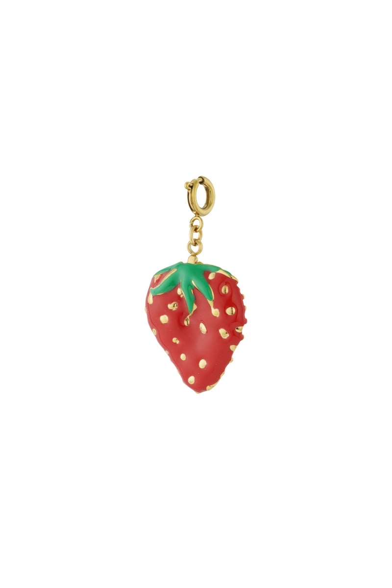 red strawberry jewelry charm stainless steel