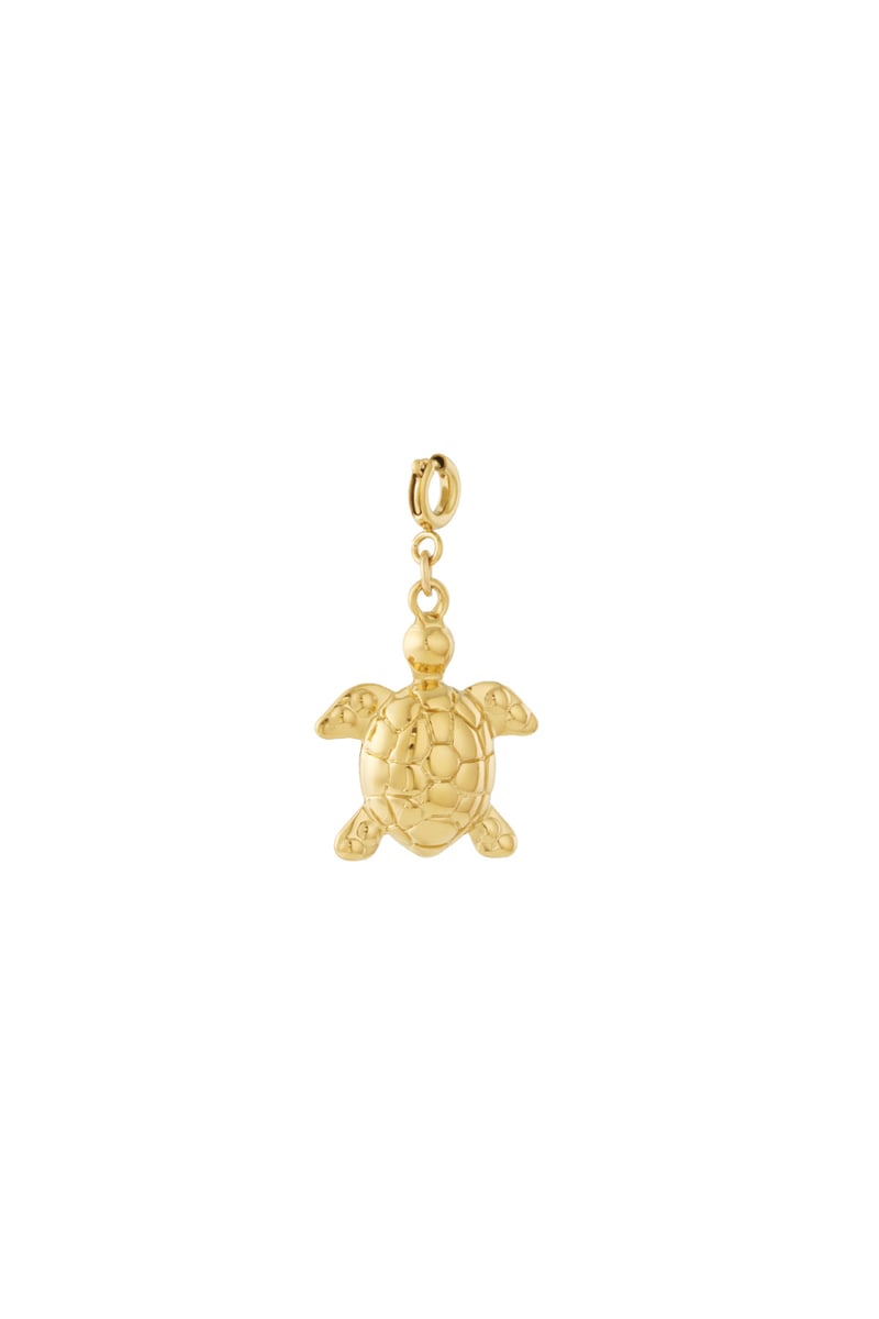 Turtle jewelry charm